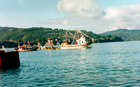 Procesión por la Bahía de Corral Procesión por la Bahía de Corral