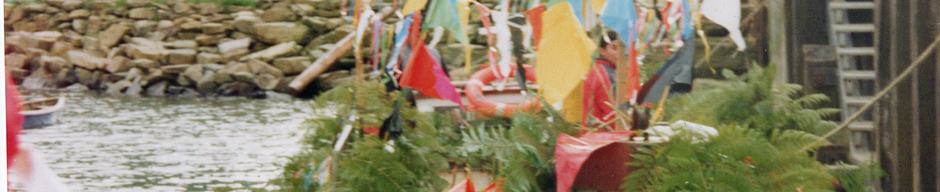 Fiesta religiosa de San Pedro