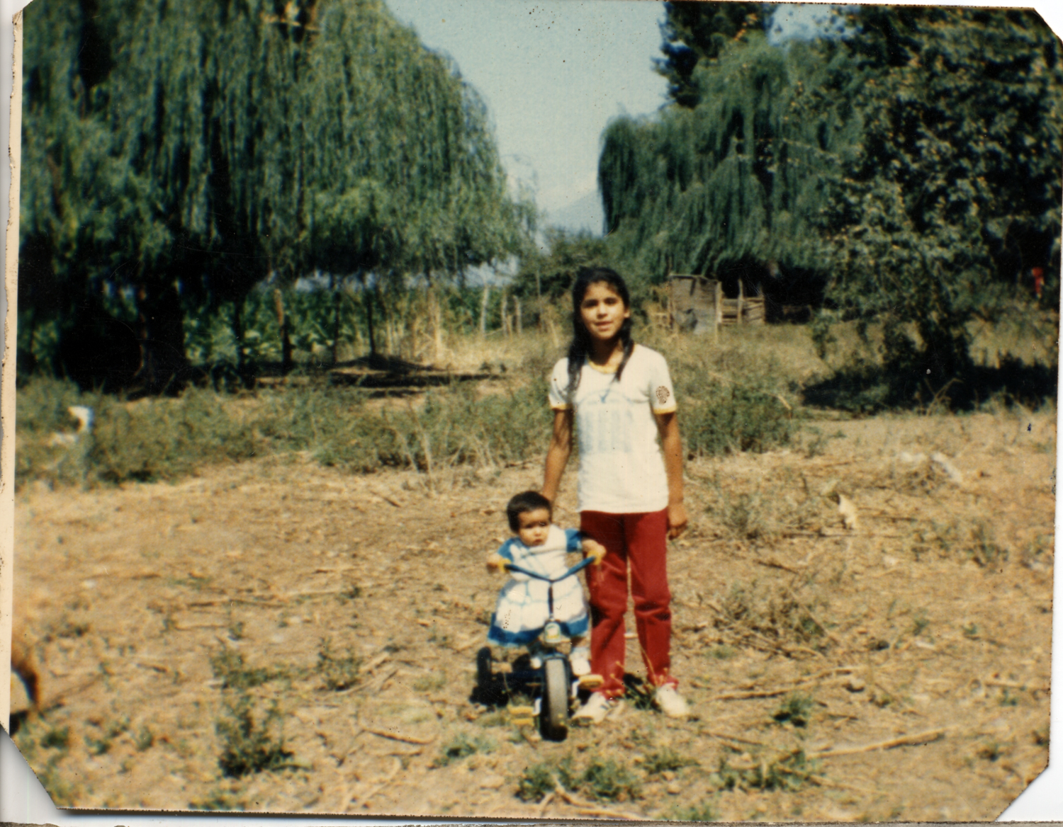 Paseo al Estero Santa Rosa Paseo al Estero Santa Rosa