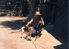 Perrito Solitario