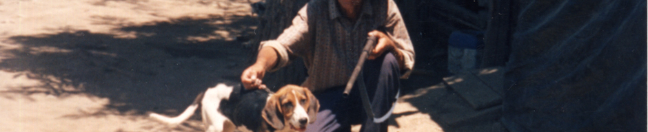 Perrito Solitario