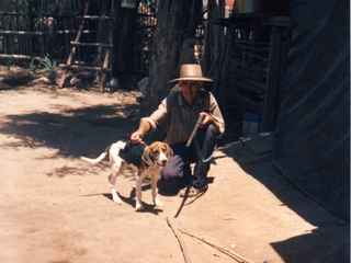 Perrito Solitario