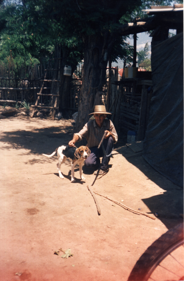 Perrito Solitario