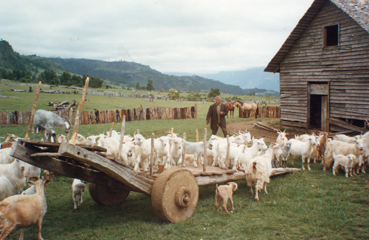 La vida de campo La vida de campo