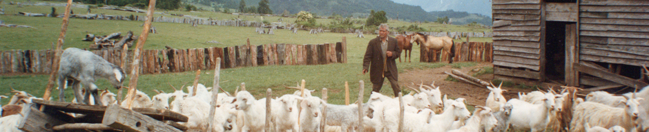 La vida de campo La vida de campo