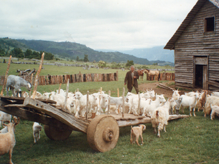 La vida de campo La vida de campo