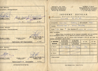 Pasaporte de llegada a Chile Pasaporte de llegada a Chile
