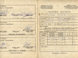 Pasaporte de llegada a Chile Pasaporte de llegada a Chile