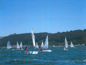 Campeonato vela nacional Campeonato vela nacional