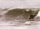 Practica de bodyboard Practica de bodyboard