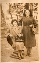 Paseando por Viña