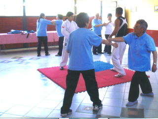 Defensa personal Defensa personal