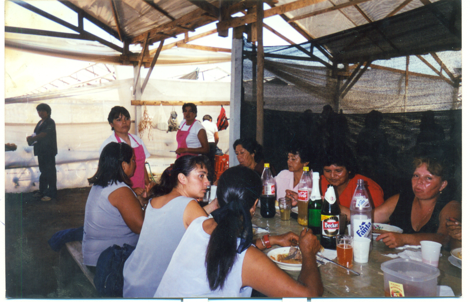 Almuerzo de fin de temporada Almuerzo de fin de temporada