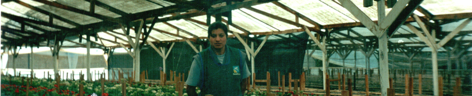 Mejor amiga Mejor amiga