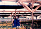 Roxana y Nayade en el vivero Roxana y Nayade en el vivero