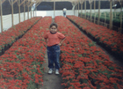 Niña en las flores Niña en las flores