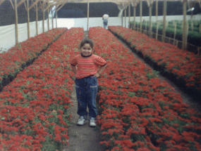 Niña en las flores