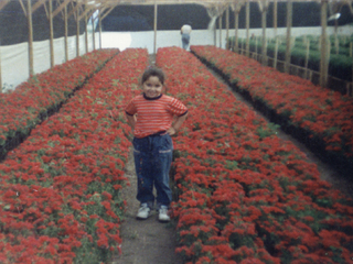 Niña en las flores Niña en las flores