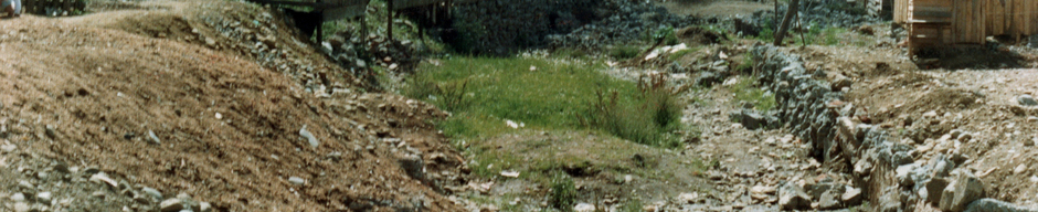 Nuestro jardín Nuestro jardín