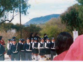 Desfile de Riñihue Desfile de Riñihue
