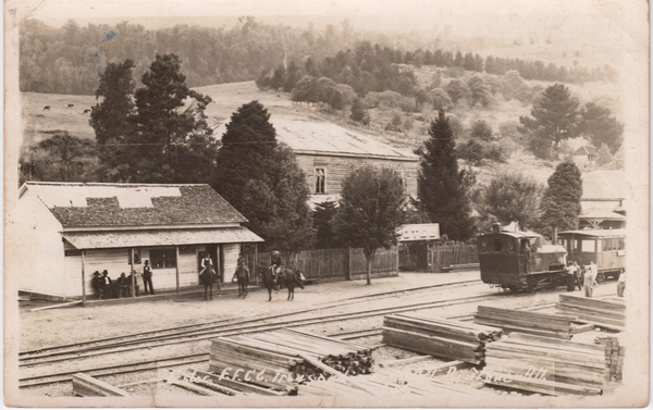 Estación de ferrocarril Riñihue Estación de ferrocarril Riñihue