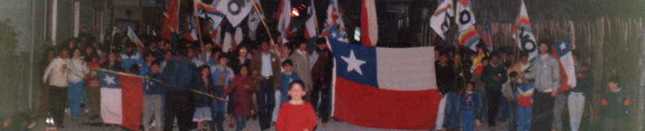 Marcha por el No
