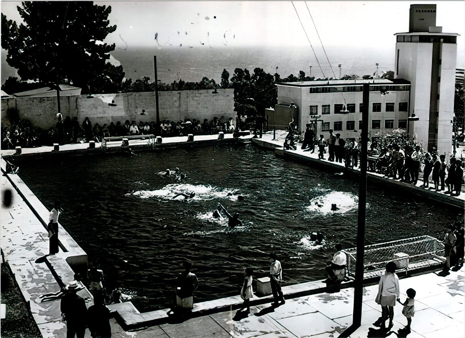 Campeonato de waterpolo Campeonato de waterpolo