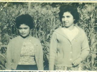 Las primas Las primas