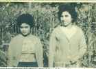 Las primas Las primas