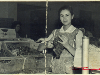 Embaladora profesional en packing J.P. Letelier Embaladora profesional en packing J.P. Letelier