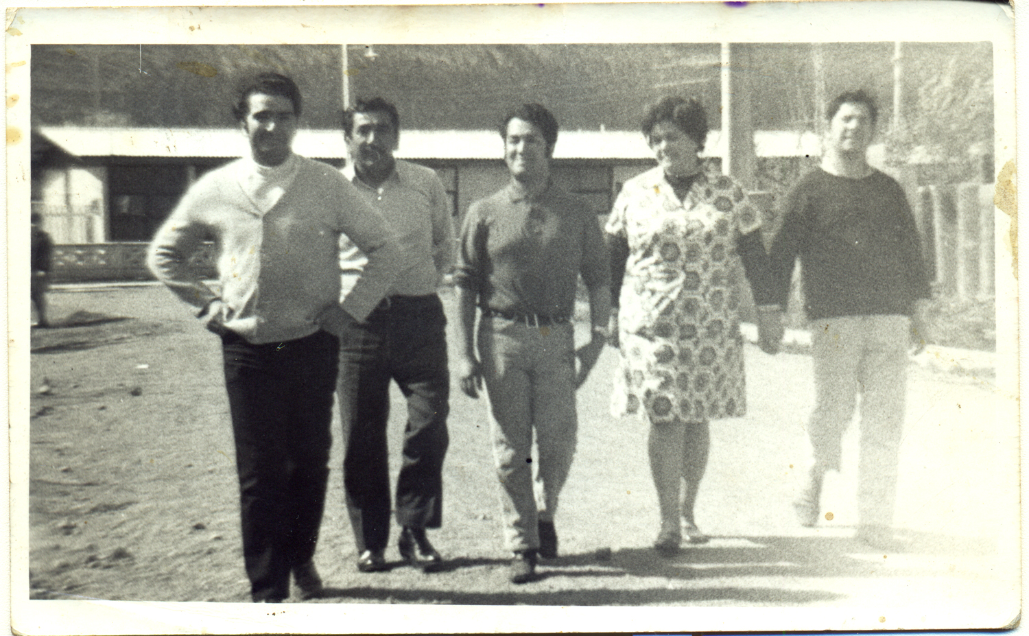 Paseando con los amigos Paseando con los amigos