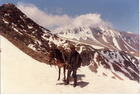 Cordillera de los Andes