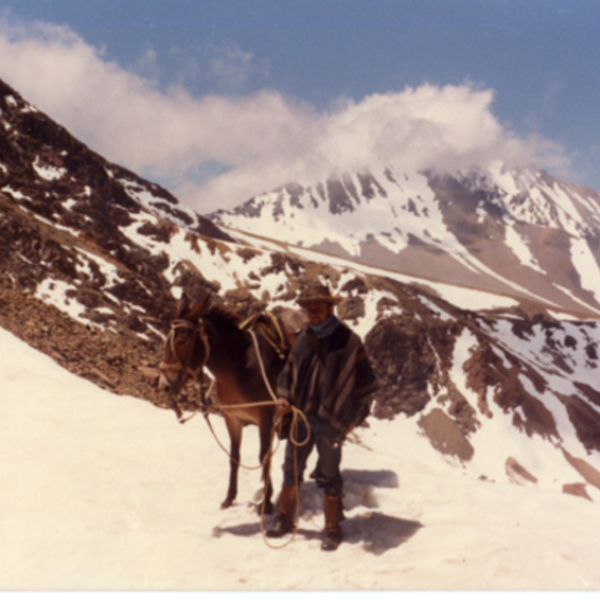 Cordillera de los Andes