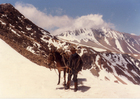 Cordillera de los Andes