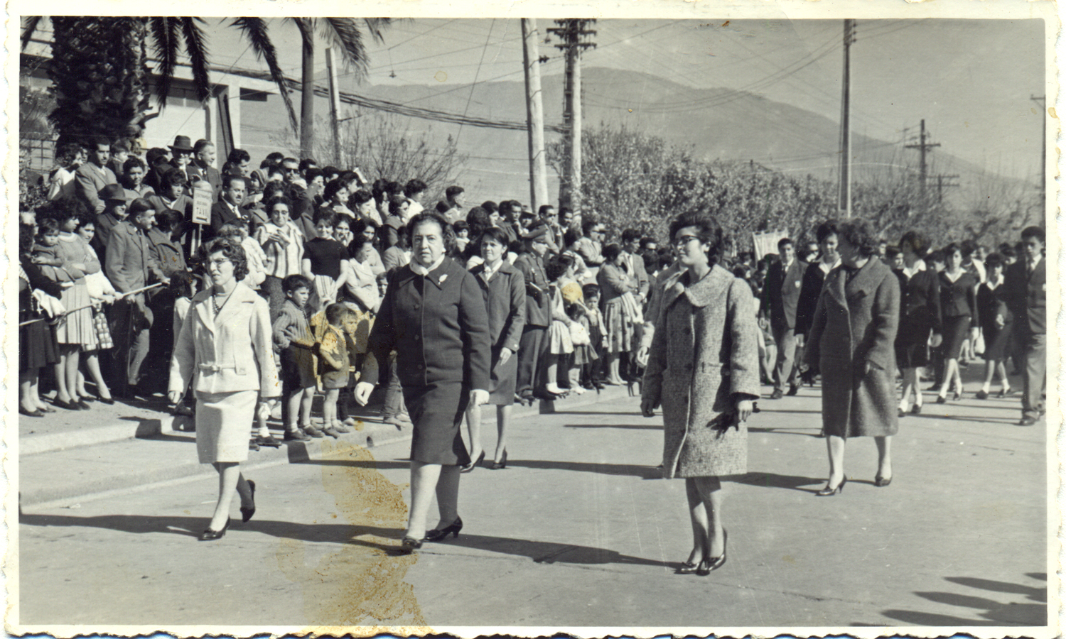 Profesorado liceo Profesorado liceo
