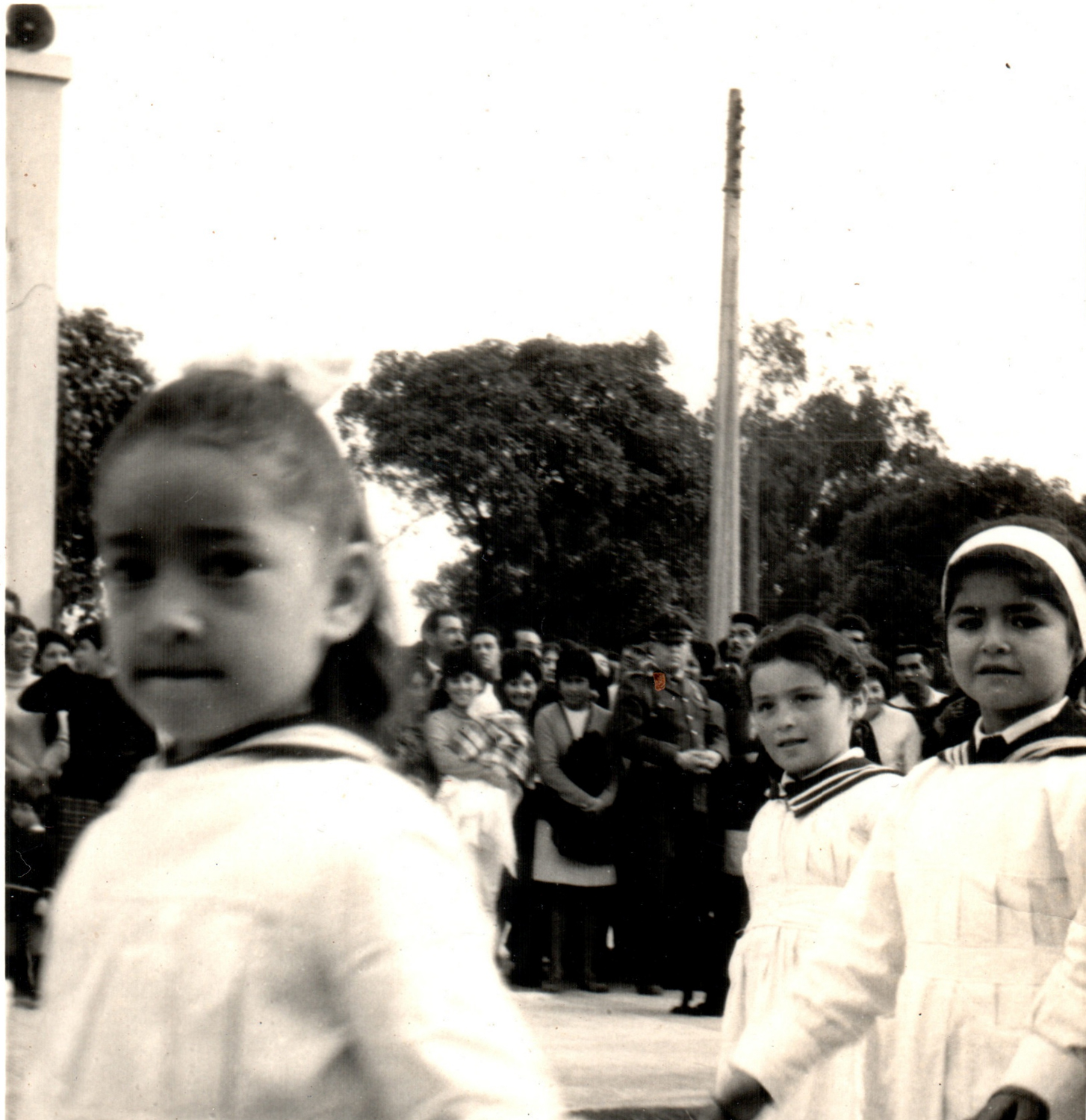 Desfile Desfile