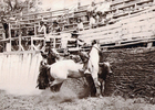 Rodeo en Valle Alegre Rodeo en Valle Alegre