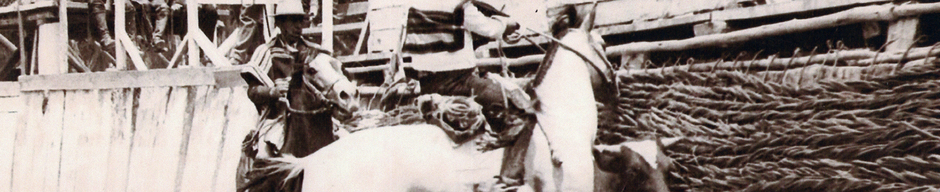 Rodeo en Valle Alegre Rodeo en Valle Alegre