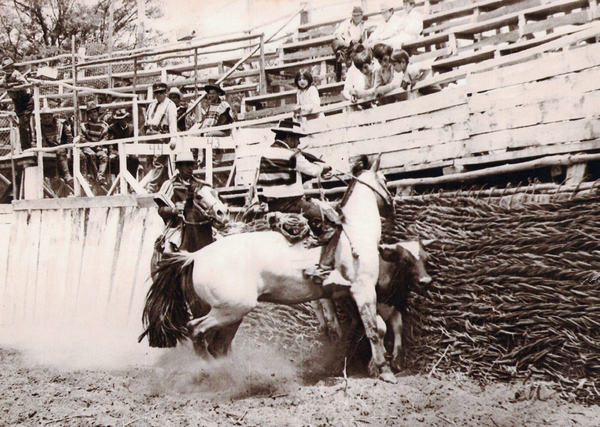 Rodeo en Valle Alegre Rodeo en Valle Alegre