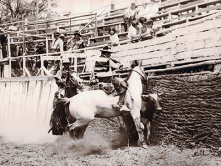 Rodeo en Valle Alegre Rodeo en Valle Alegre