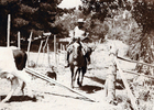 Vaqueros de Valle Alegre Vaqueros de Valle Alegre