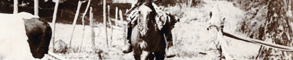 Vaqueros de Valle Alegre Vaqueros de Valle Alegre
