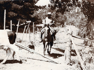 Vaqueros de Valle Alegre Vaqueros de Valle Alegre