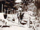 Vaqueros de Valle Alegre Vaqueros de Valle Alegre