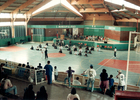 Taekwondo