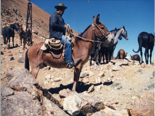 Frontera de Chile y Argentina Frontera de Chile y Argentina