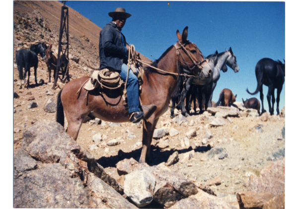 Frontera de Chile y Argentina