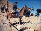 Frontera de Chile y Argentina Frontera de Chile y Argentina