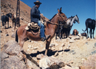 Frontera de Chile y Argentina Frontera de Chile y Argentina