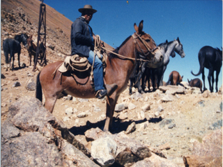 Frontera de Chile y Argentina